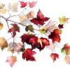 Automne